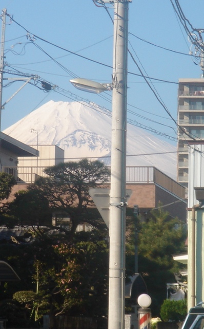 (sorry to those who really want to go to Japan) This is the view from my street.