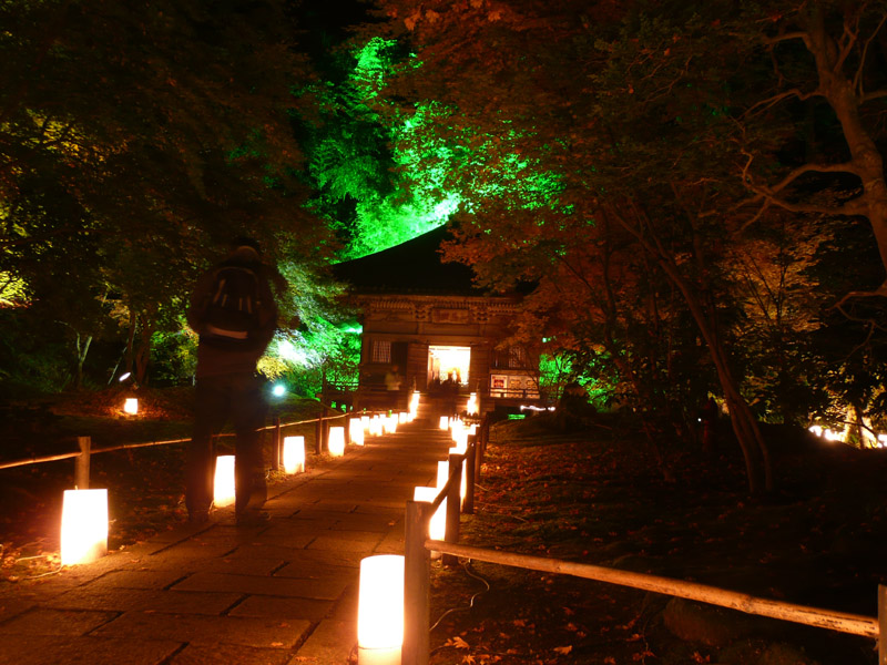 Matsushima 6.jpg