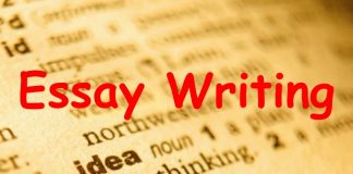 Save on Writing Courses with Professional Essay Writing Service Professional Essay Writing Service