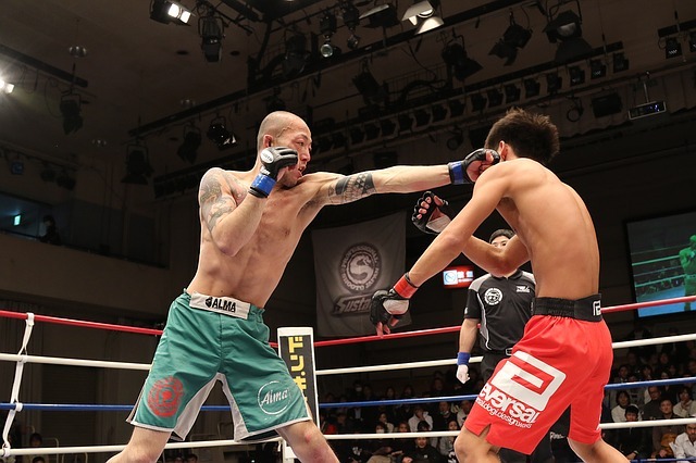 mma, mixed martial arts, shooto