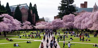 Learn How to Write a University of Washington Essay to Become a Student There
