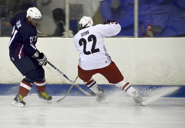 ice hockey, players, pass
