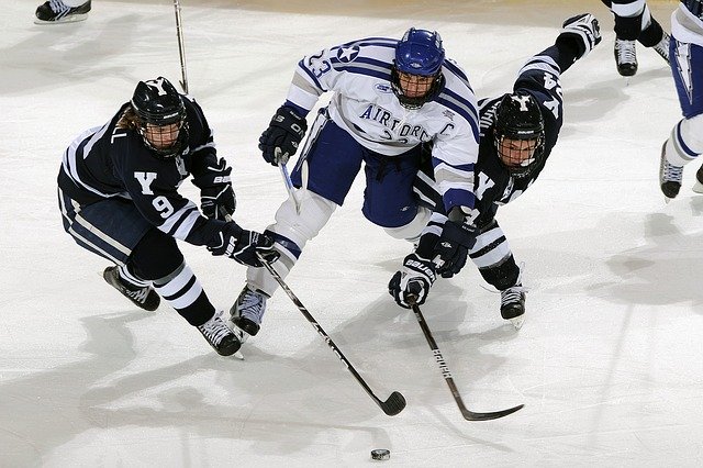 ice hockey, puck, players