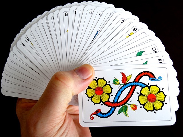 game manual, cards, jass cards