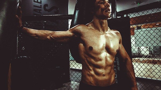 fitness, body, body build