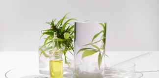 A glass of wine on a table Description automatically generated