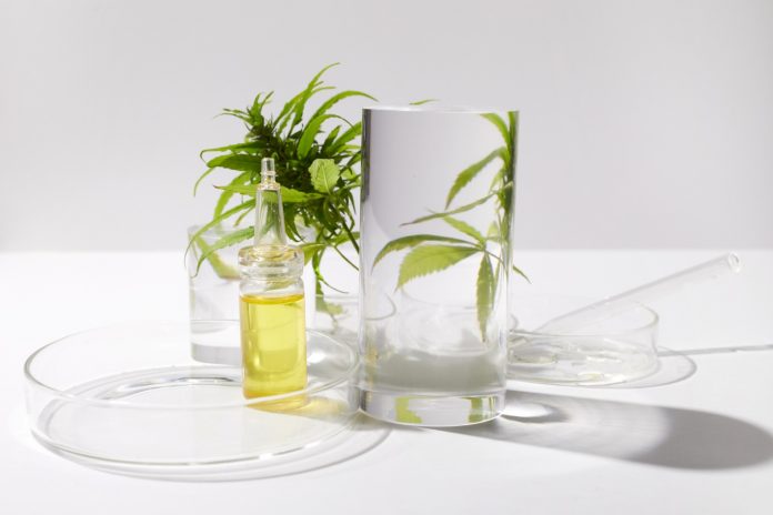 A glass of wine on a table Description automatically generated