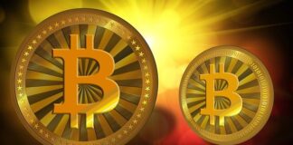 What Should Beginners Know about Bitcoin Wallet for Android?