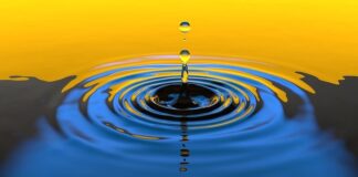 How to Deal with Water Seeping Through the Base of the Walls