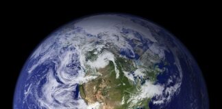 What Can You Do to Save Our Planet