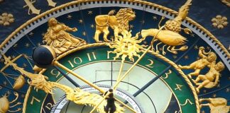 Which Chinese zodiac sign is the most lovable?