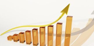 What is the Difference Between Old and New Economy Stocks