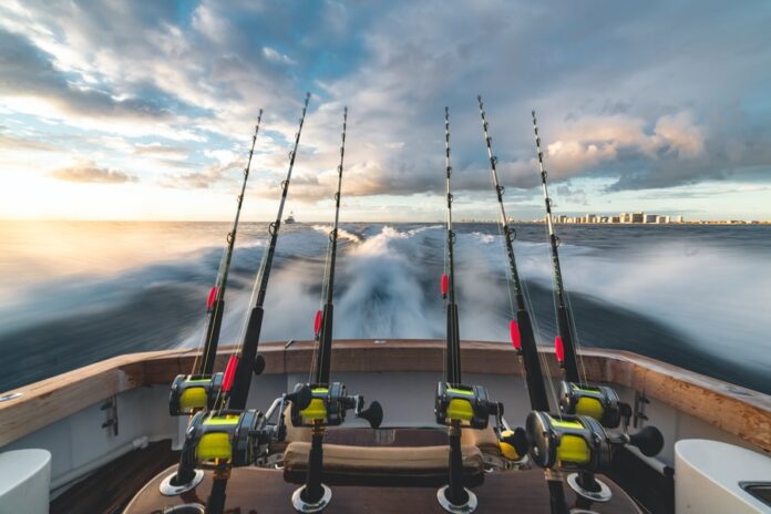 Photo by stephen momot six black-and-yellow fishing rod in boat