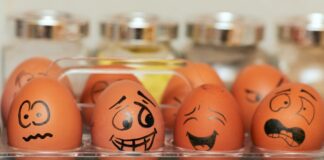 orange and white plastic egg toy