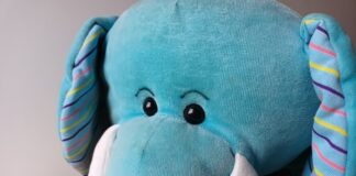 a stuffed animal with a hat