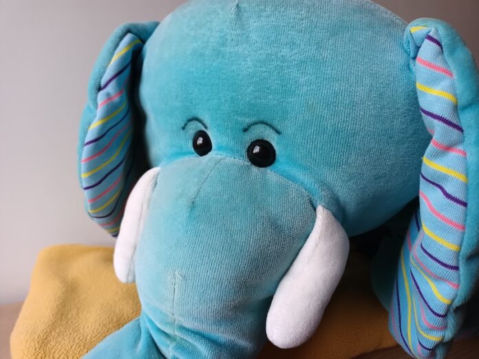 Photo by Anik Setti a stuffed animal with a hat