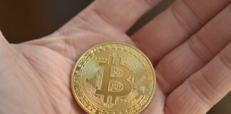 What the Bitcoin Segwit2x Fork Means for Crypto Investors? bitcoin, digital, money