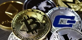 Average Joe’s Best Pick: Bitcoin or Bitcoin ETF? Various Cryptocurrency on Table