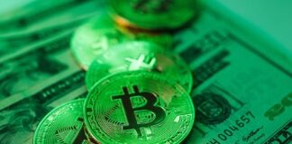 PXP Token: Transforming the Way We Transact and Invest Green and White Round Plastic