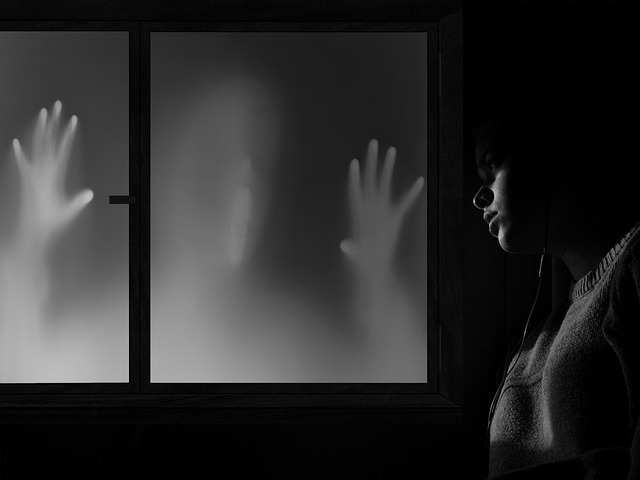 Free Window Nightmare photo and picture
