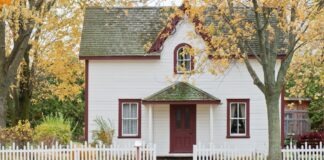 white house under maple trees