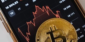 A Systematic Approach to Achieving Privacy Proficiency in Cryptocurrency, Specifically in Bitcoin A Gold Coin on a Smartphone Screen