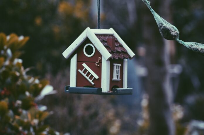 Photo by Harper van Mourik closeup photo of red and white bird house