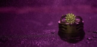 What Makes Rare Carat’s Hidden Halo Engagement Rings So Stunning? gold-colored ring