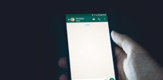 person holding smartphone