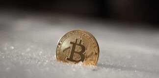 Average Transaction Costs Associated With Bitcoin Cash a bit coin sitting on top of snow covered ground