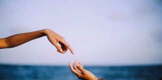 two person holding hands photograph