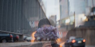 person holding white and pink flower