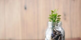 The Importance of Long-Term Planning for Retirement Funds a glass jar filled with coins and a plant
