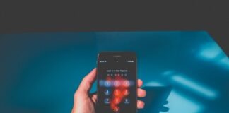 person holding iPhone