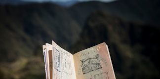 person holding passport