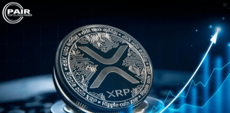 X1