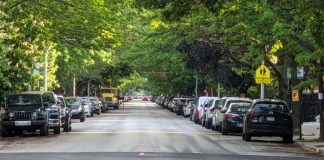 cars on road during daytime