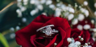 photo of red rose