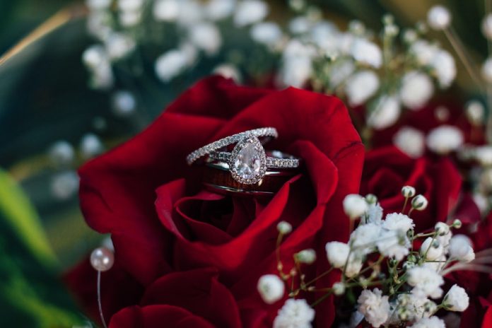 Photo by Kimberly Fowler photo of red rose
