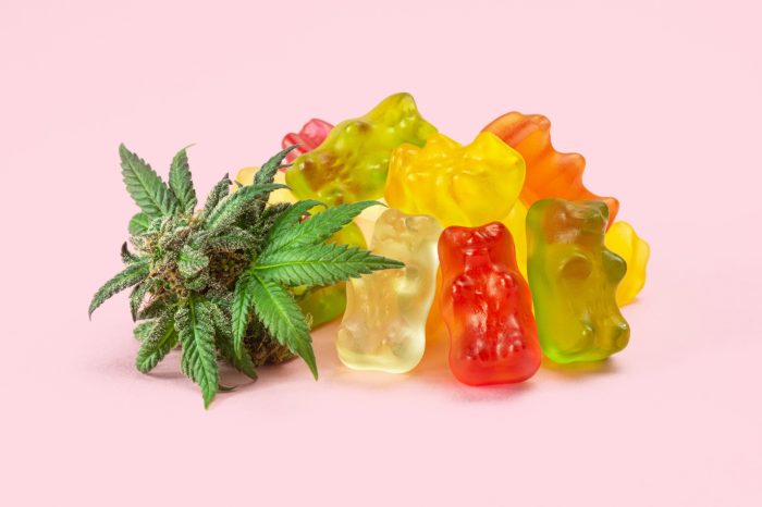 A group of gummy bears and a plant