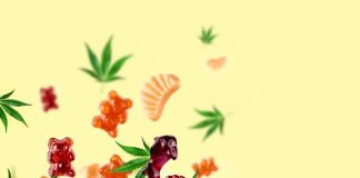 D9 Gummies: A Delicious and Discreet Way to Relax A group of gummy bears and leaves