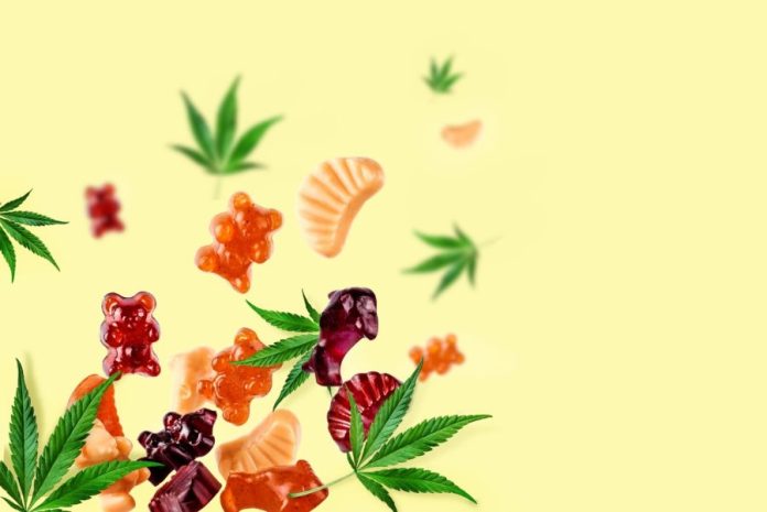 a-group-of-gummy-bears-and-leaves A group of gummy bears and leaves