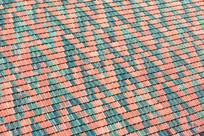 a bird is perched on a roof of a building