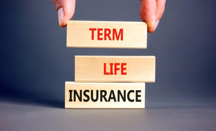 d-addicts.com How Term Insurance Helps Protect Against Life’s Uncertainties