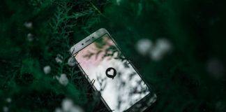 white Android smartphone near green plant