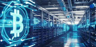 Earn $5400 a Day! Top 5 Passive Income Platforms for Beginners in 2025 – Rake in Bitcoin Without Mining Machines!