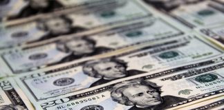 Close-up of crisp US twenty dollar bills arranged in a pattern. Ideal for finance-related visuals.