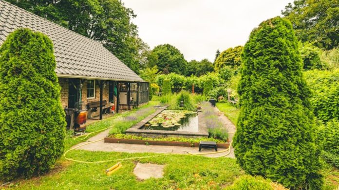 A lush green garden with a pond and house