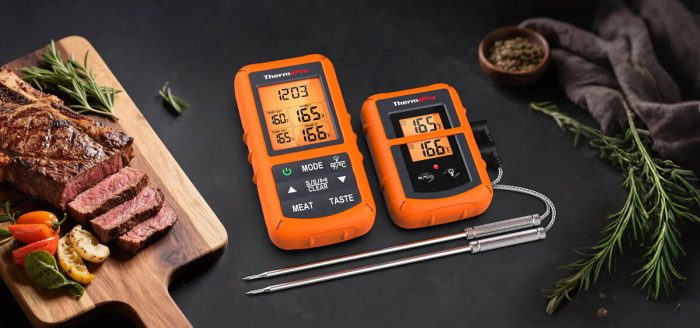 tp20b-wireless-food-thermometer