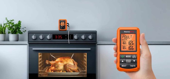 tp20b-wireless-meat-thermometer